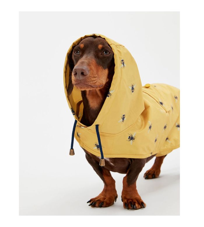 keela dog jacket
