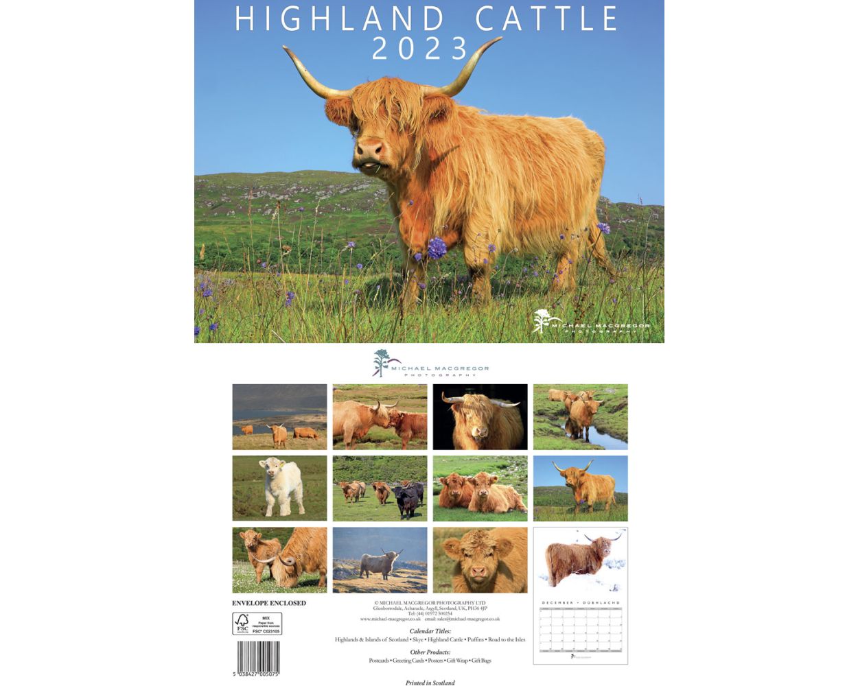michael-macgregor-highland-cattle-calendar-2023